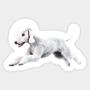 Bedlington Terrier Sticker